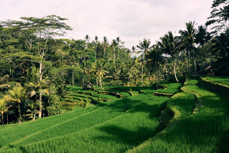 Objek Wisata di Bali ini sudah mendunia loh. Yakin tidak