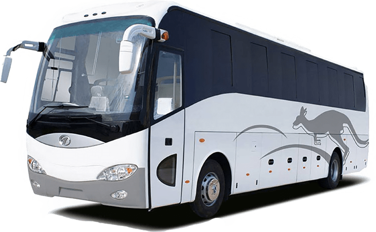 Bus (30 seat)